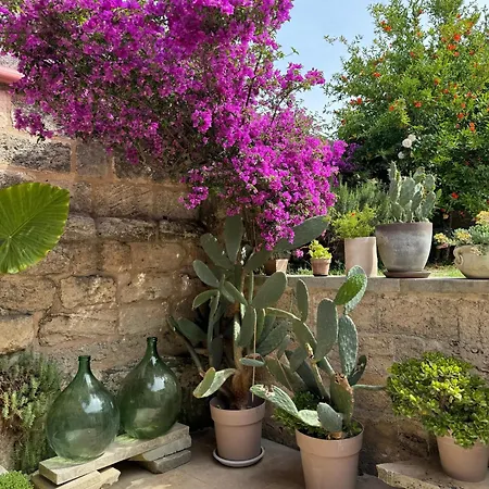Mediterranea Salento Spongano